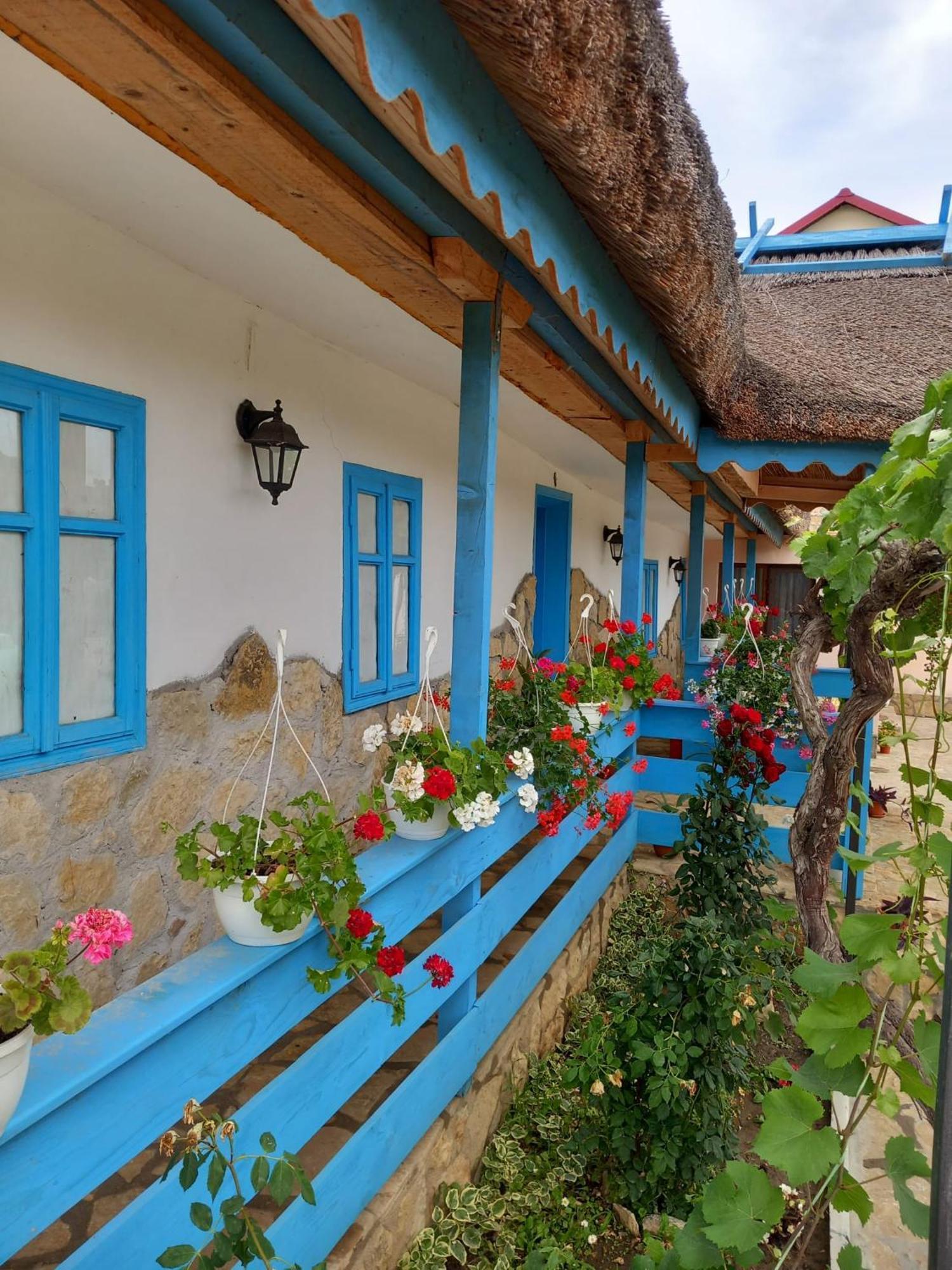 Отель Casa Rasaritul Soarelui Sarichioi Экстерьер фото